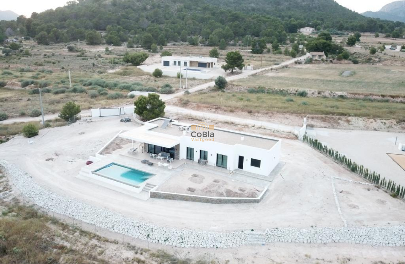 New Build - Villa - Pinoso - Casas Pastor