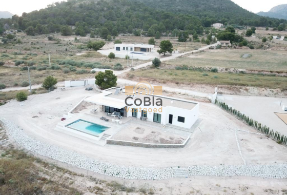 New Build - Villa - Pinoso - Casas Pastor