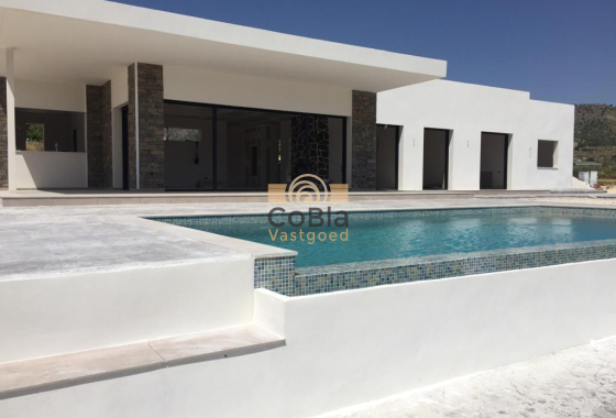 New Build - Villa - Pinoso - Casas Pastor