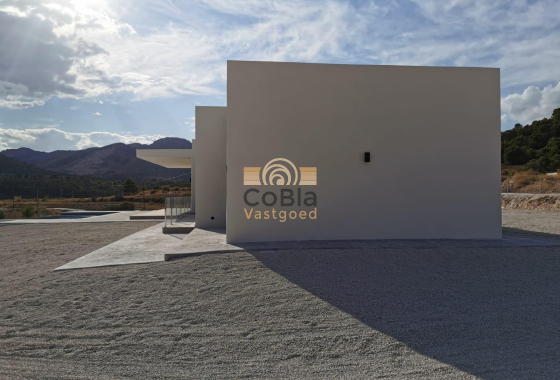 New Build - Villa - Pinoso - Casas Pastor