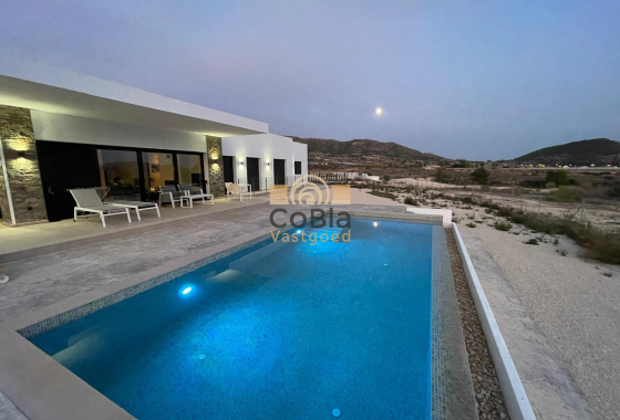New Build - Villa - Pinoso - Casas Pastor