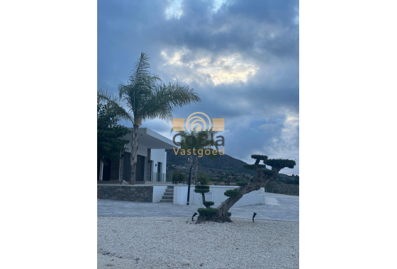 New Build - Villa - Pinoso - Casas Pastor