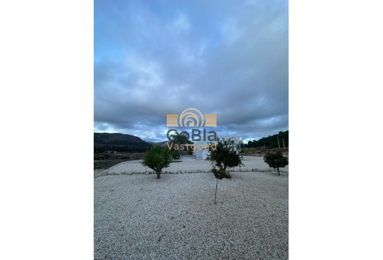 New Build - Villa - Pinoso - Casas Pastor
