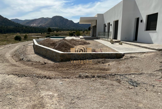 New Build - Villa - Pinoso - Casas Pastor