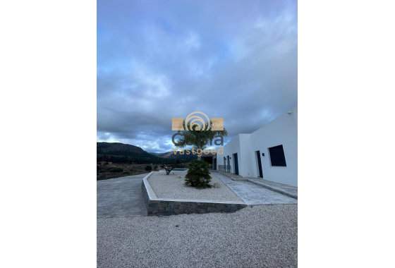 New Build - Villa - Pinoso - Casas Pastor