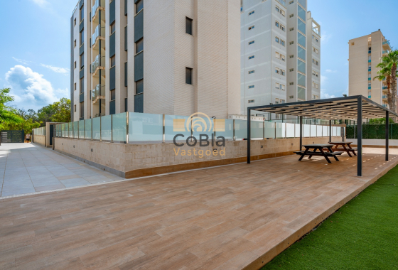 Herverkoop - Apartments - Guardamar del Segura - Guardamar
