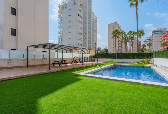 Herverkoop - Apartments - Guardamar del Segura - Guardamar