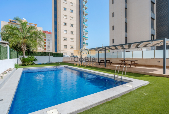 Herverkoop - Apartments - Guardamar del Segura - Guardamar