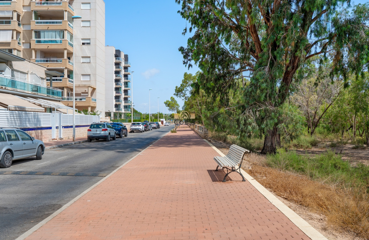 Herverkoop - Apartments - Guardamar del Segura - Guardamar