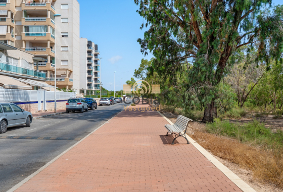 Herverkoop - Apartments - Guardamar del Segura - Guardamar