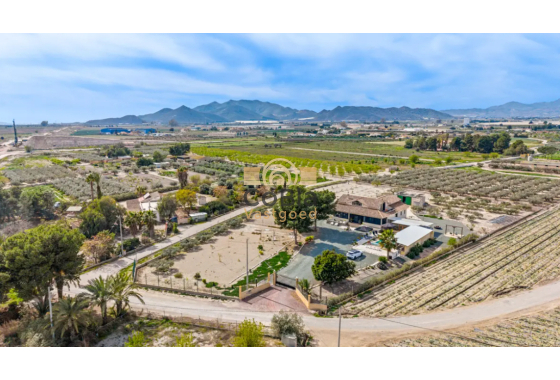 Herverkoop - Villa - Puerto Lumbreras - Esparragal de Puerto Lumbreras