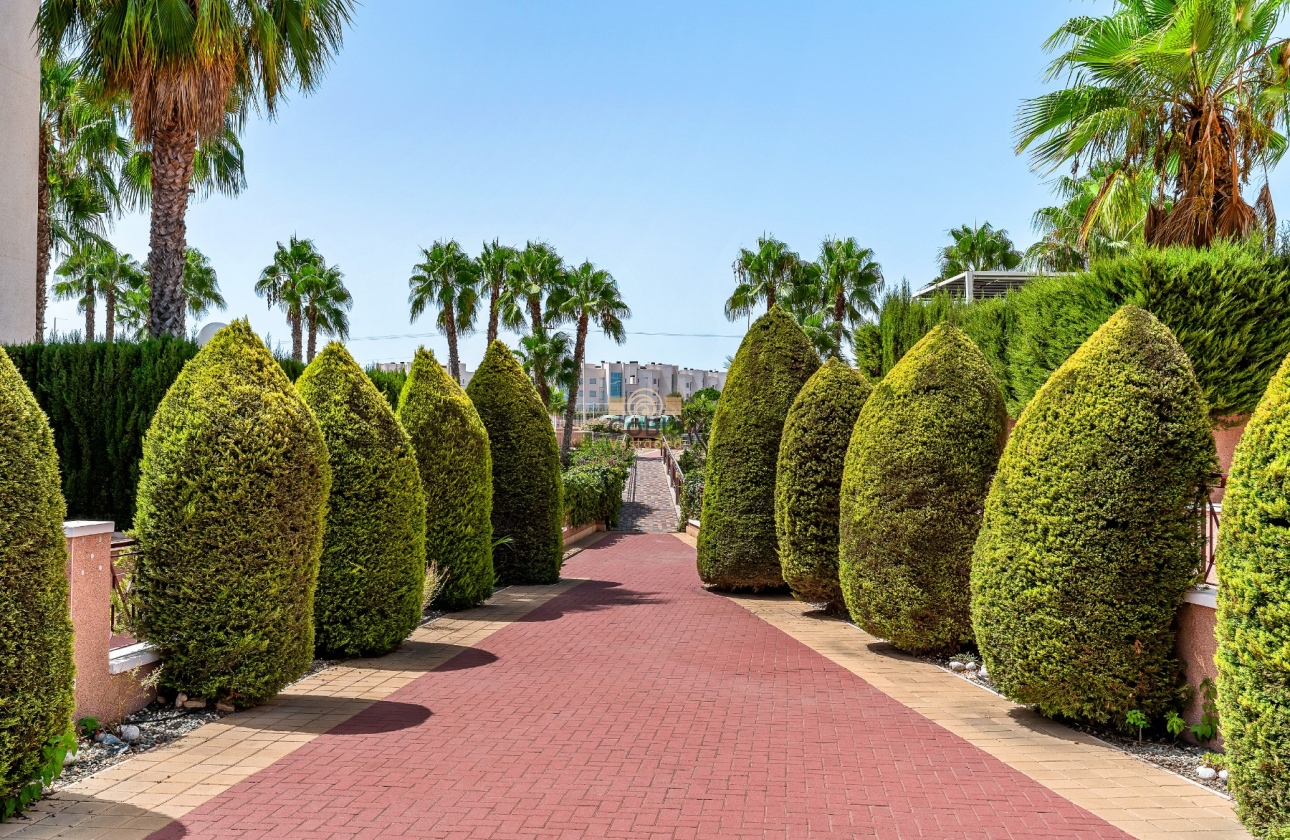Herverkoop - Apartments - Orihuela Costa - Playa Flamenca