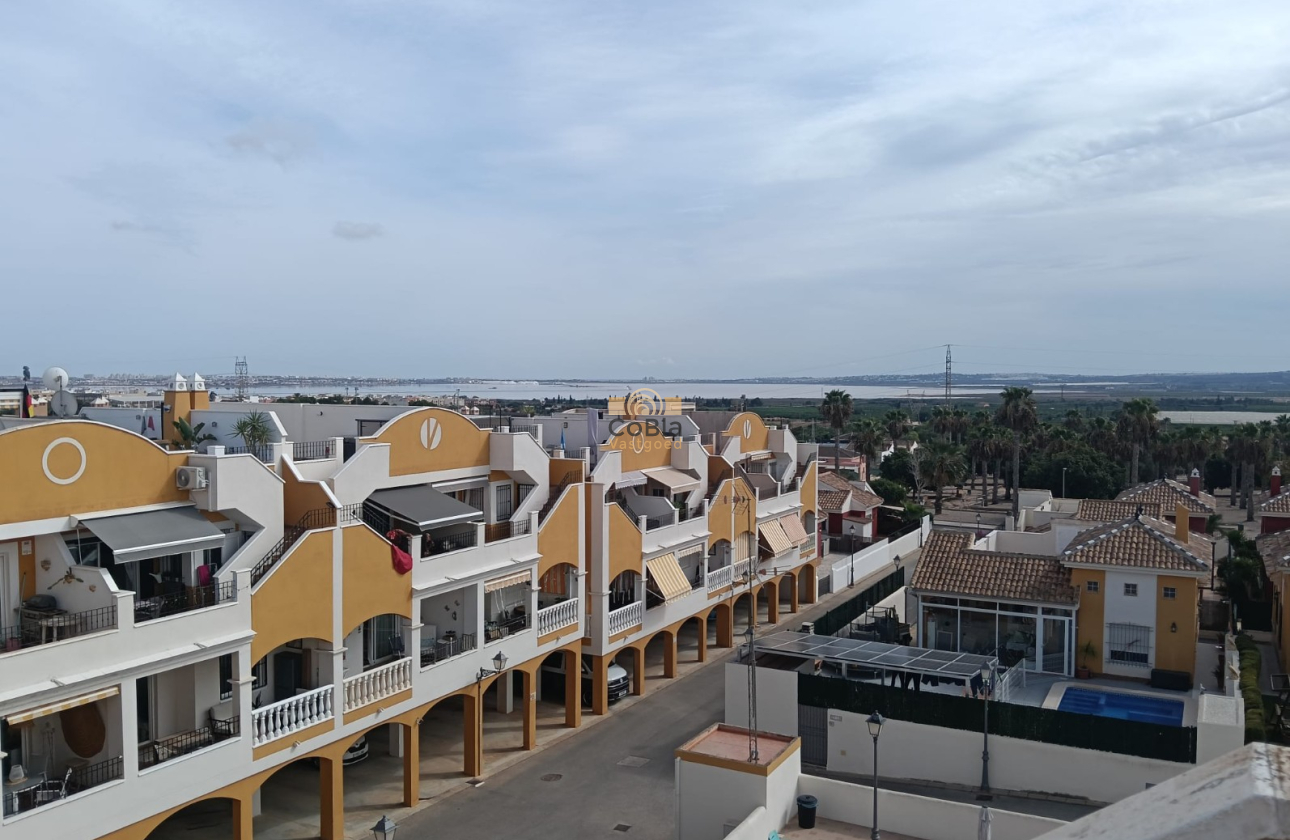Herverkoop - Appartement - Los Montesinos - Urbanizacion montesol
