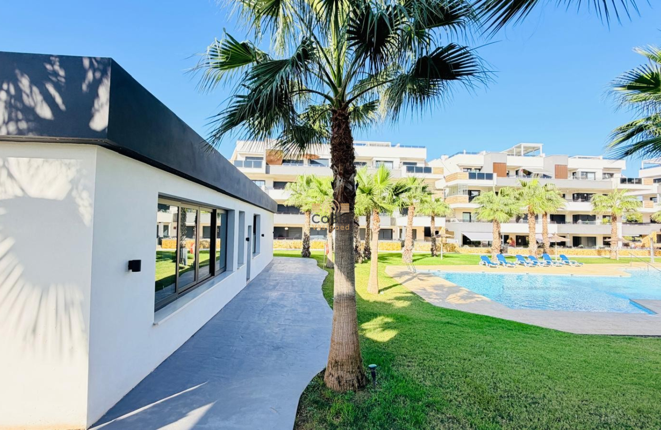 Revente - Apartment - Orihuela Costa - Los Altos