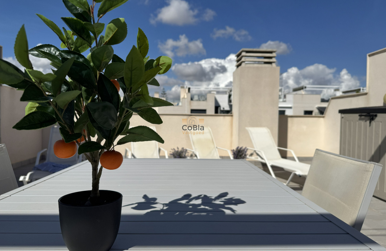 Revente - Apartment - Top Floor Apartment - Orihuela Costa - Villamartín