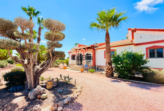 Herverkoop - Detached Villa - Daya Vieja