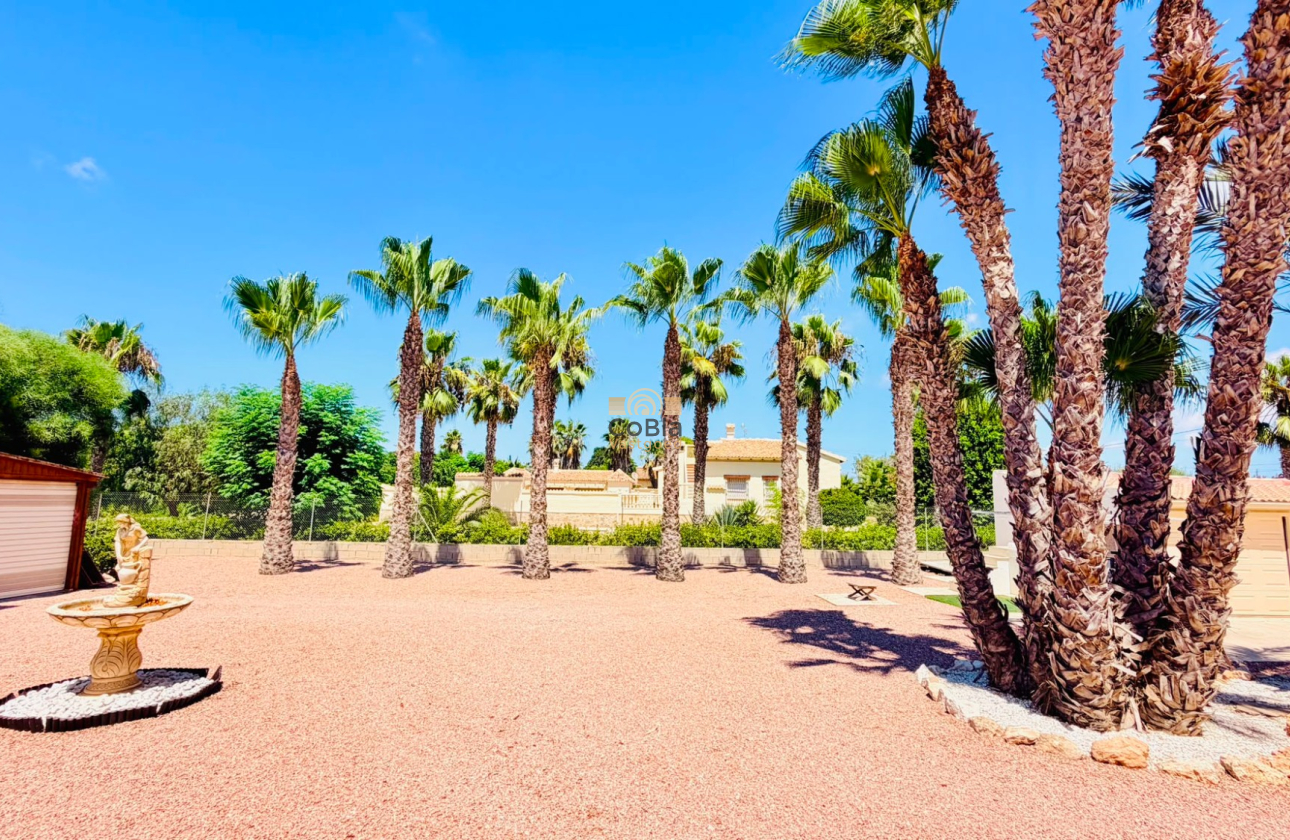 Herverkoop - Detached Villa - Daya Vieja