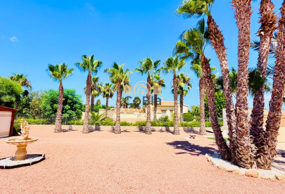 Herverkoop - Detached Villa - Daya Vieja