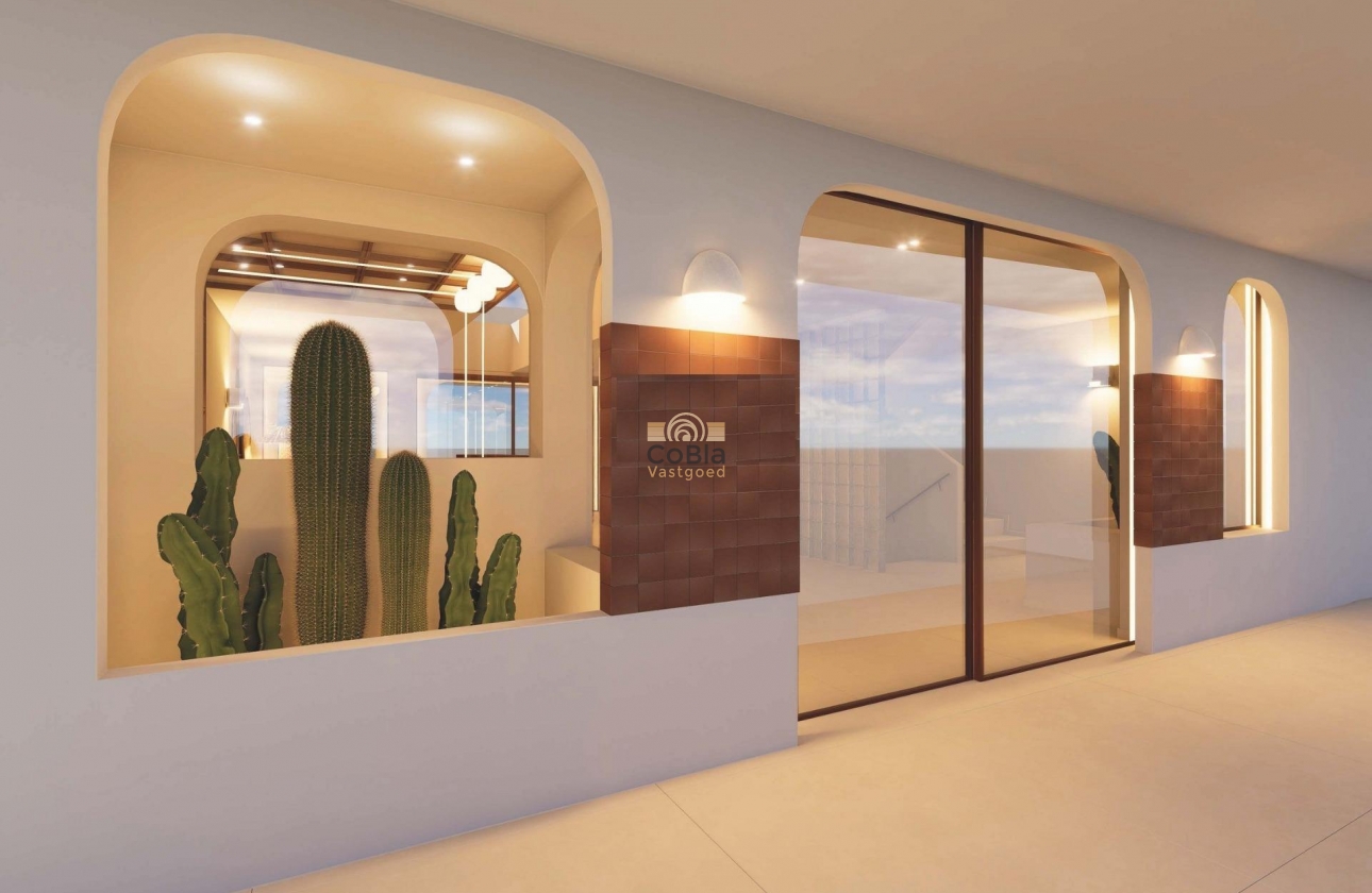 Nieuwbouw Woningen - Penthouse - Torrevieja - Los Frutales