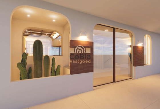 Nieuwbouw Woningen - Penthouse - Torrevieja - Los Frutales