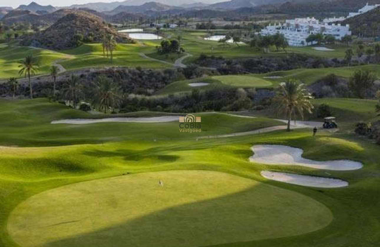 Nieuwbouw Woningen - Penthouse - Pulpi - Aguilón Golf
