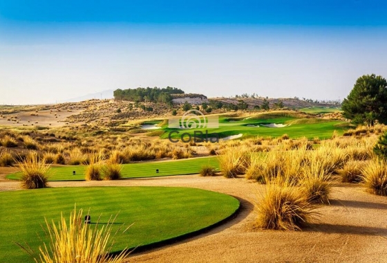 Nouvelle construction - Villa - Alhama De Murcia - Condado De Alhama