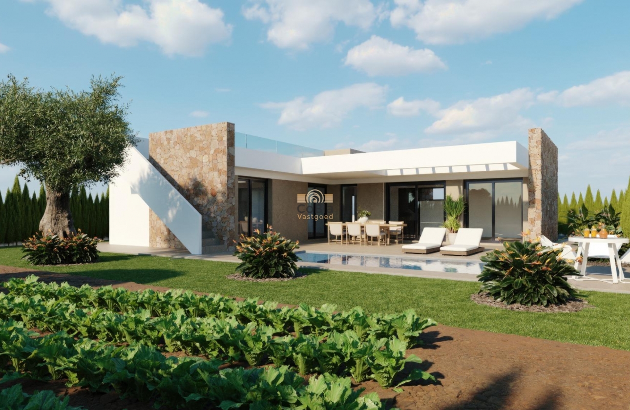 Neue Gebäude - Villa - Fuente Álamo - Hacienda del Alamo