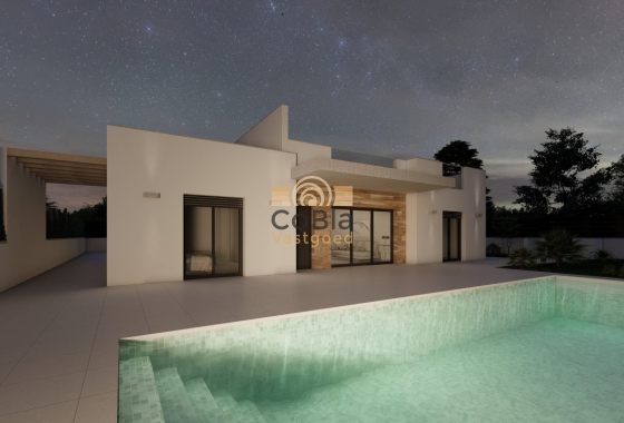 New Build - Villa - Torre Pacheco - Roldán