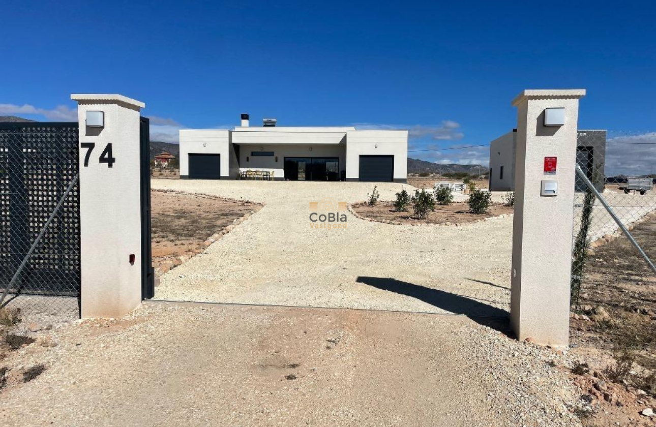 Nouvelle construction - Villa - Pinoso - Camino Del Prado