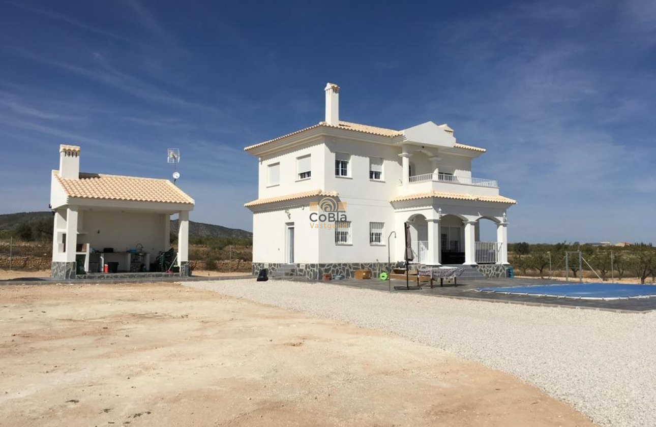 Nouvelle construction - Villa - Pinoso - Camino Del Prado