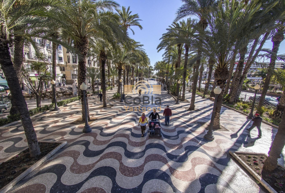 Neue Gebäude - Apartment - Torrevieja - Torreblanca