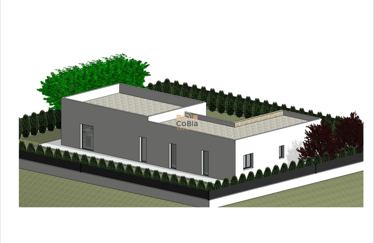 New Build - Villa - Pinoso - Lel