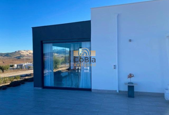 Neue Gebäude - Villa - Jumilla - Torre del Rico