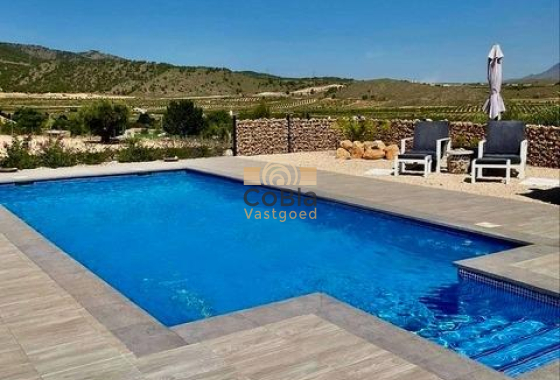 New Build - Villa - Jumilla - Torre del Rico