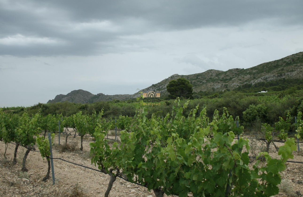 Nouvelle construction - Villa - Yecla