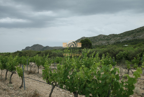 Nouvelle construction - Villa - Yecla