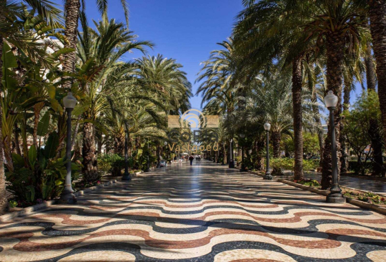 Neue Gebäude - Apartment - Alicante - Center