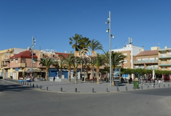 Nouvelle construction - Bungalow - Pilar de la Horadada - La Torre De La Horadada