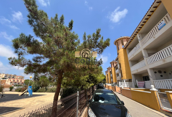 Wiederverkauf - Apartment - Flat - Orihuela Costa - Cabo Roig