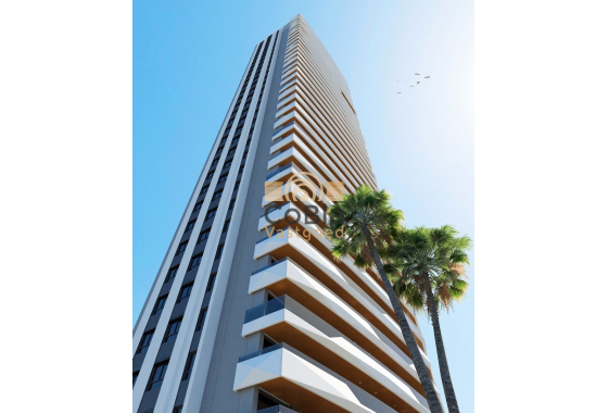 Nouvelle construction - Apartment - Benidorm - Poniente