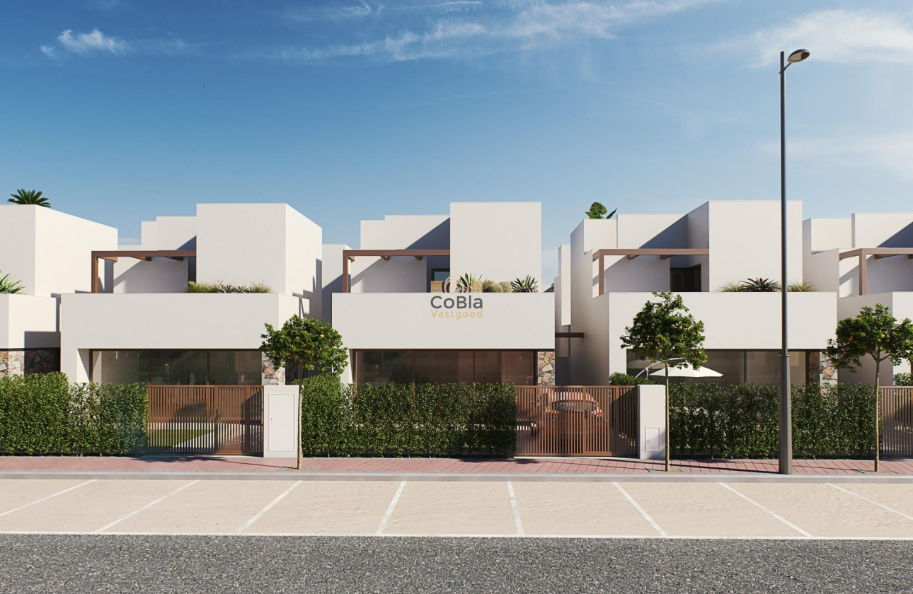 Nieuwbouw Woningen - Villa - Torre Pacheco - Santa Rosalía