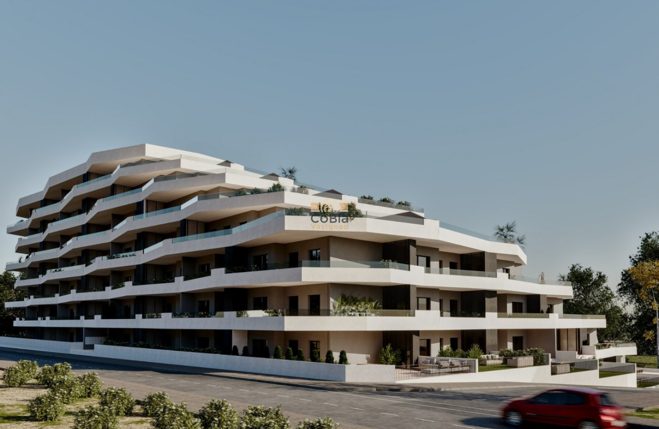 Neue Gebäude - Apartment - San Miguel de Salinas - Pueblo