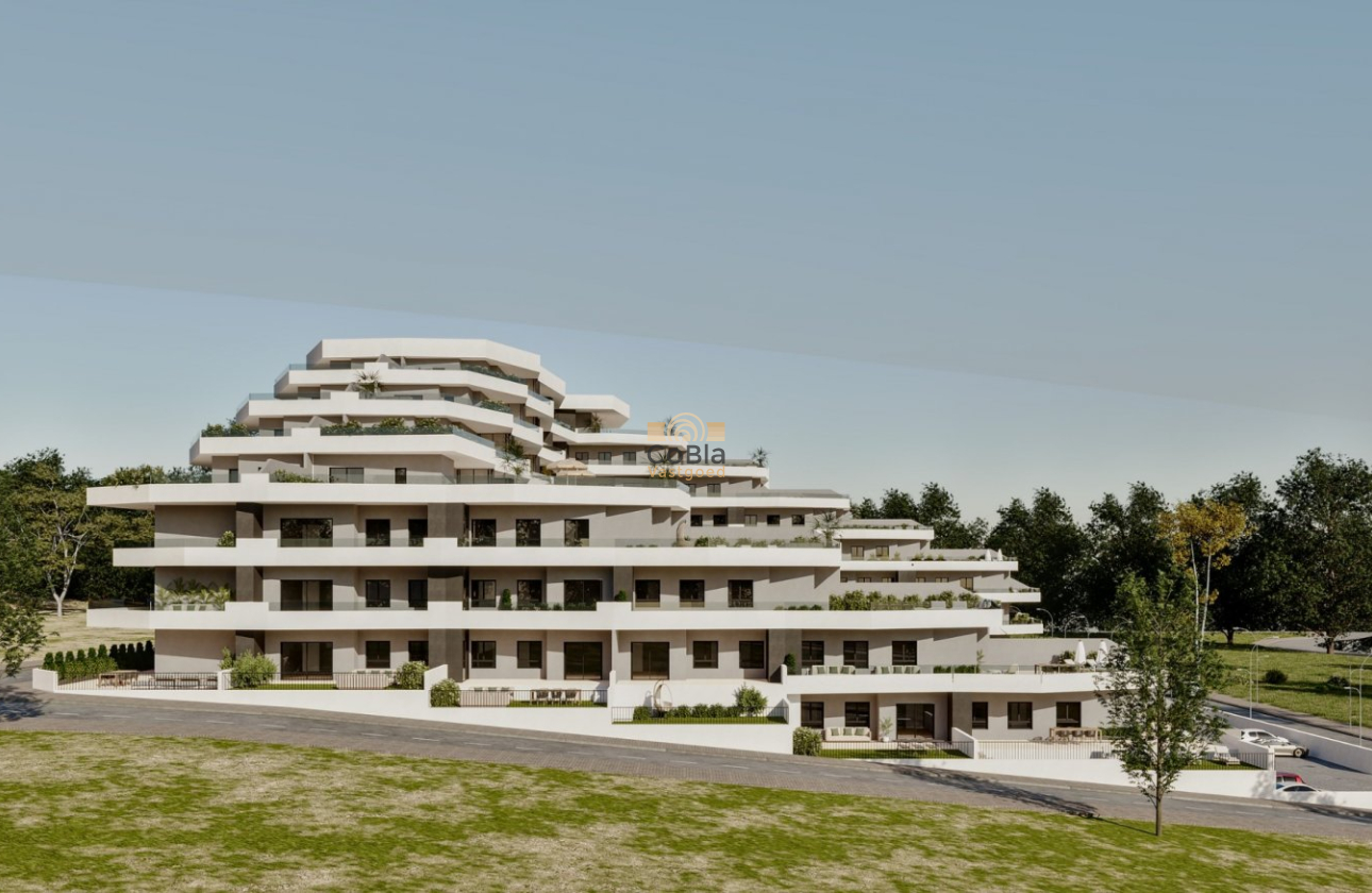 Neue Gebäude - Apartment - San Miguel de Salinas - Pueblo