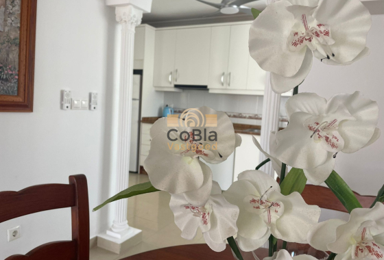 Herverkoop - Appartement - Orihuela - Villamartin