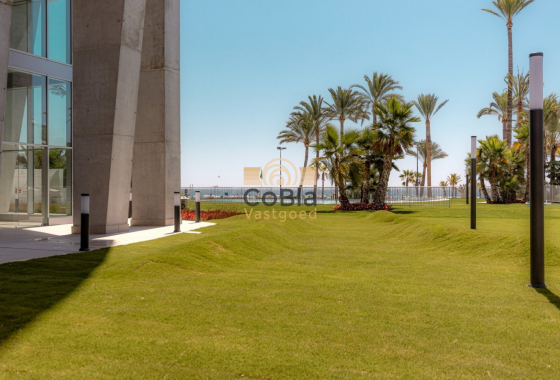 New Build - Apartment - Benidorm - Playa Poniente