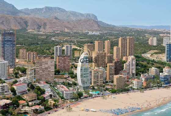 New Build - Apartment - Benidorm - Playa Poniente