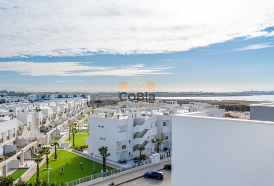 Wiederverkauf - Apartment - Guardamar del Segura - El Raso
