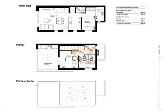 Nouvelle construction - Villa - Daya Nueva