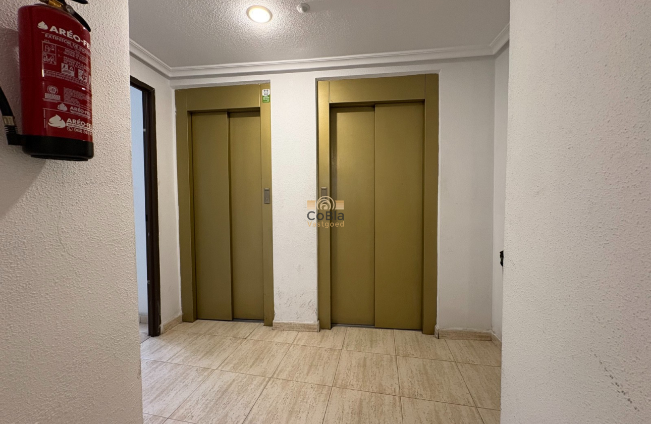 Wiederverkauf - Apartment - Torrevieja - Centro