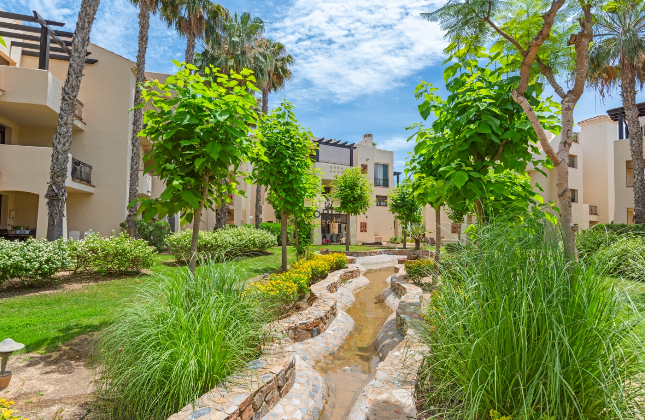 Wiederverkauf - Apartment - San Javier - Roda Golf